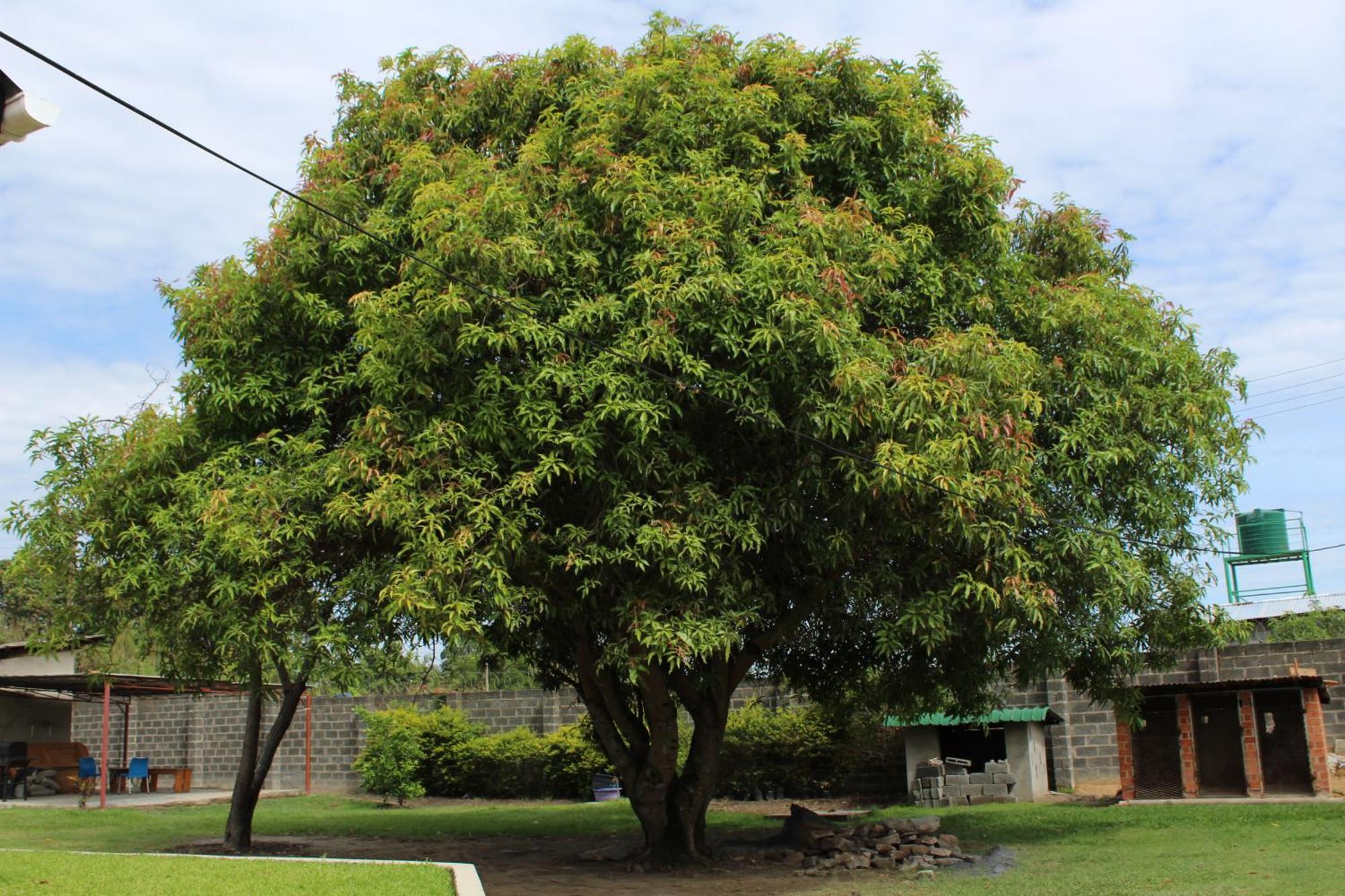 Summerfields & Gardens Lodge Kitwe 外观 照片